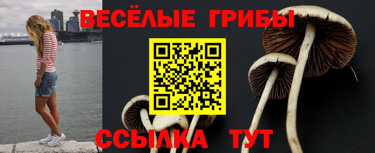 Псилоцибиновые грибы GOLDEN TEACHER  Вход с VPN  Сызрань 